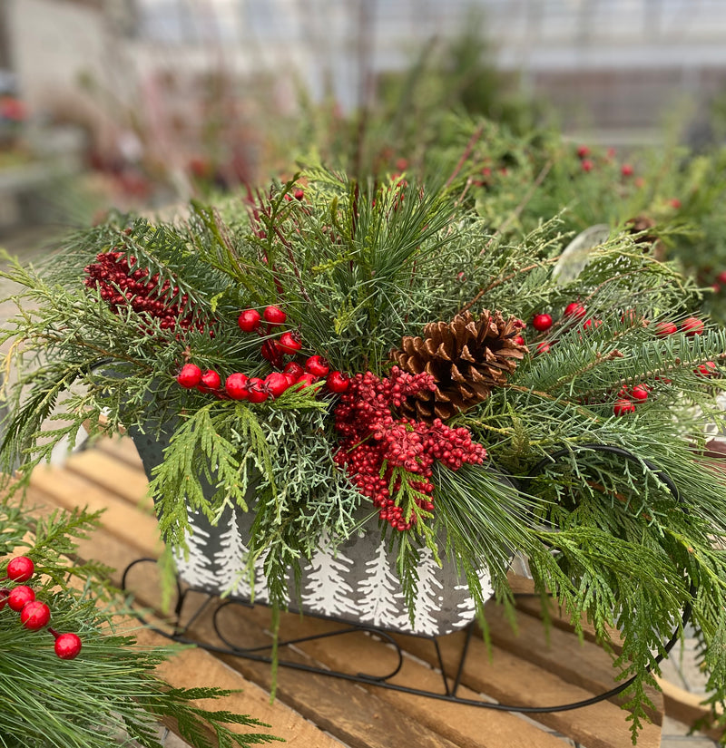 Workshop Schedule Coming Soon!