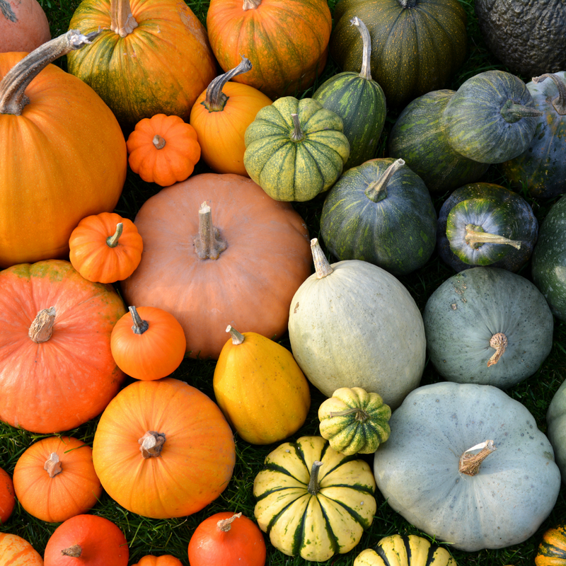 What's In Season