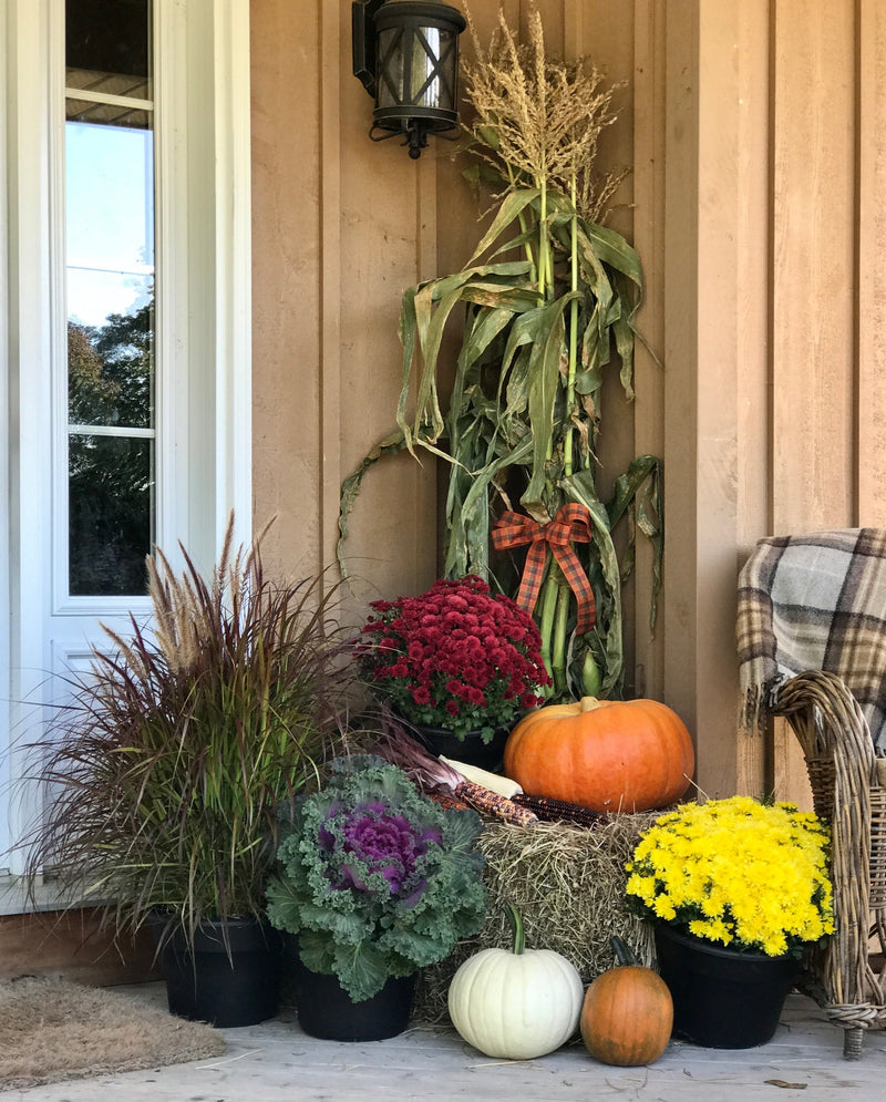 Fall Porch Package