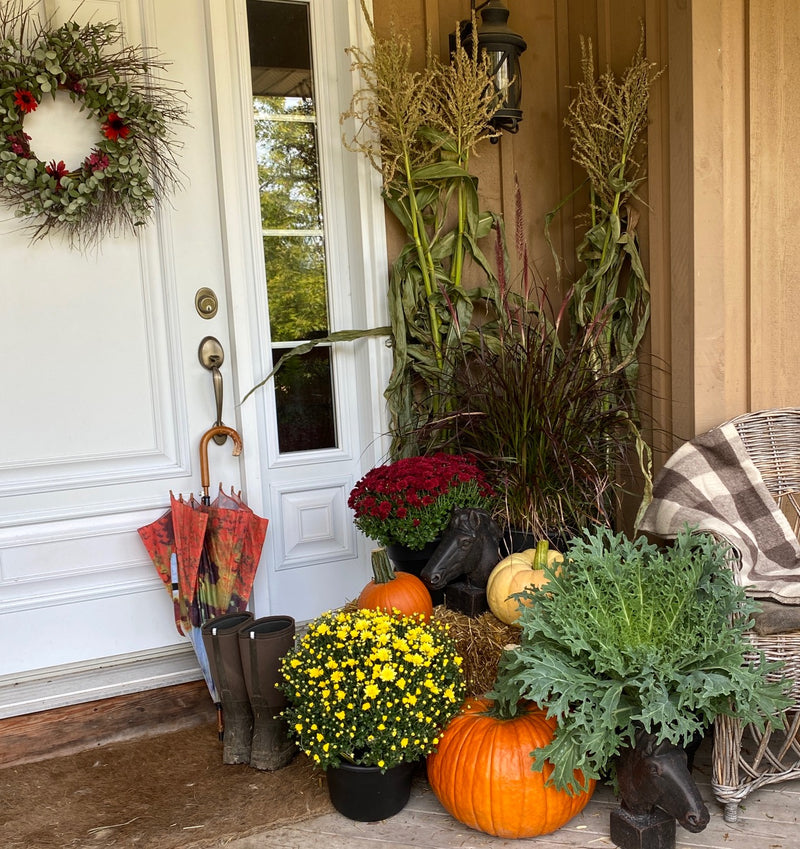 Fall Porch Package