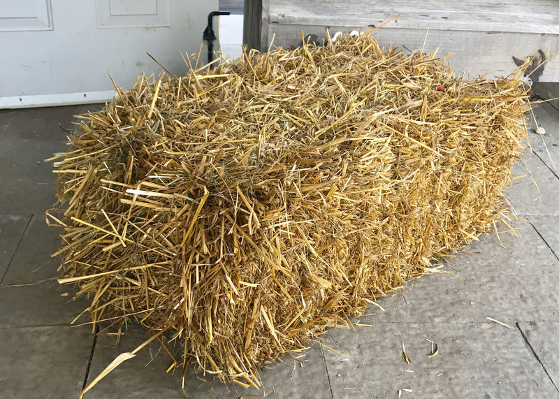 Straw Bale